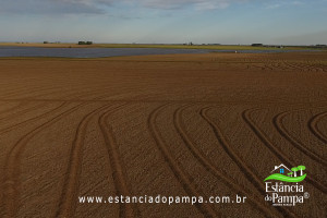 Fazenda com 1496 ha em Cachoeira do Sul localidade Irapu�.00_26_43_00.Quadro057_d0bc8d3a5fd419899f9c45474e6836b735863a3e.jpg